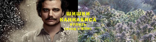 амф Балахна
